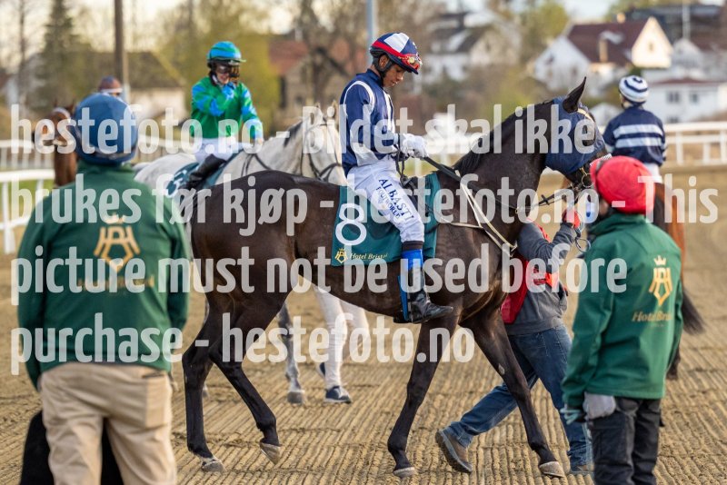 20220428-201909-DSC2524