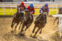 20220428-184520-DSC2199