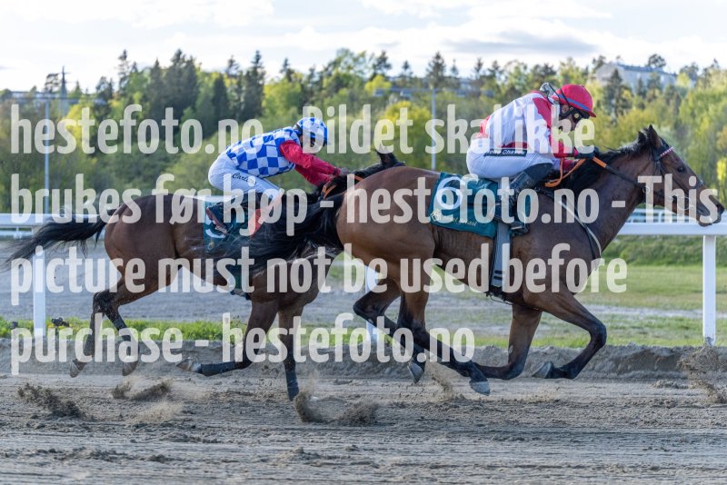 20220512-181956-DSC4882