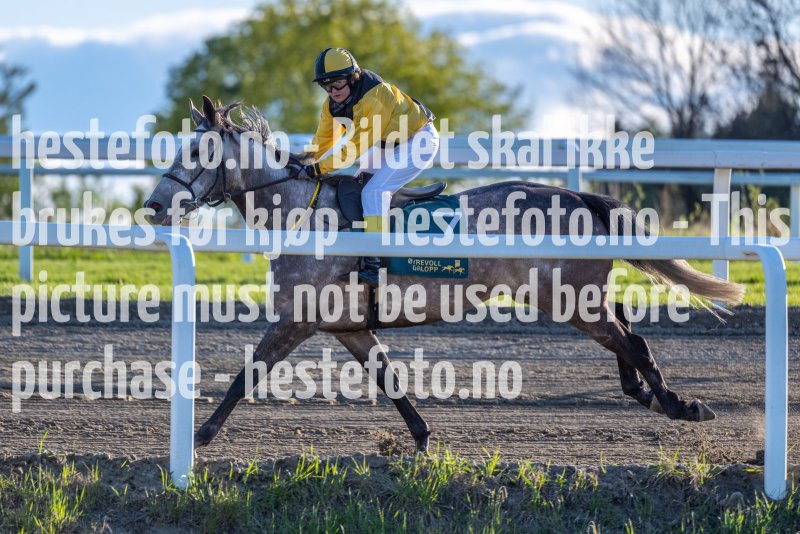 20220512-192819-DSC4993