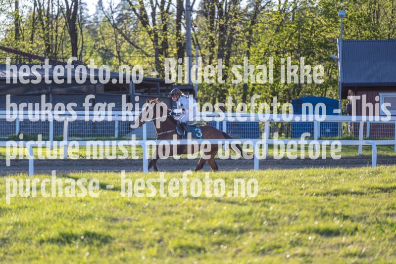 20220512-192827-DSC5014