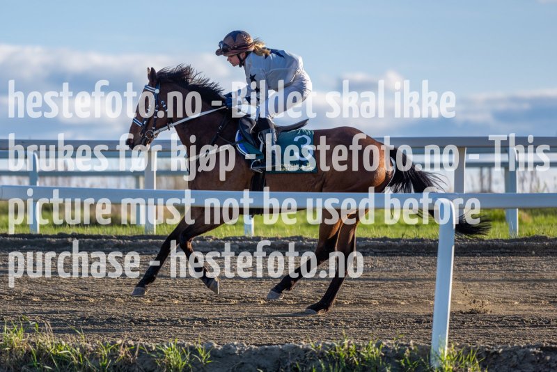 20220512-192834-DSC5026