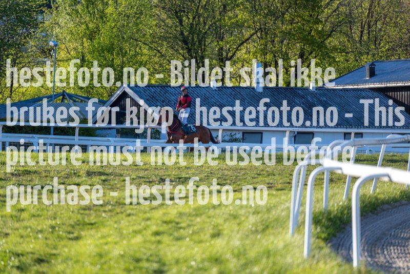 20220512-192856-DSC5046