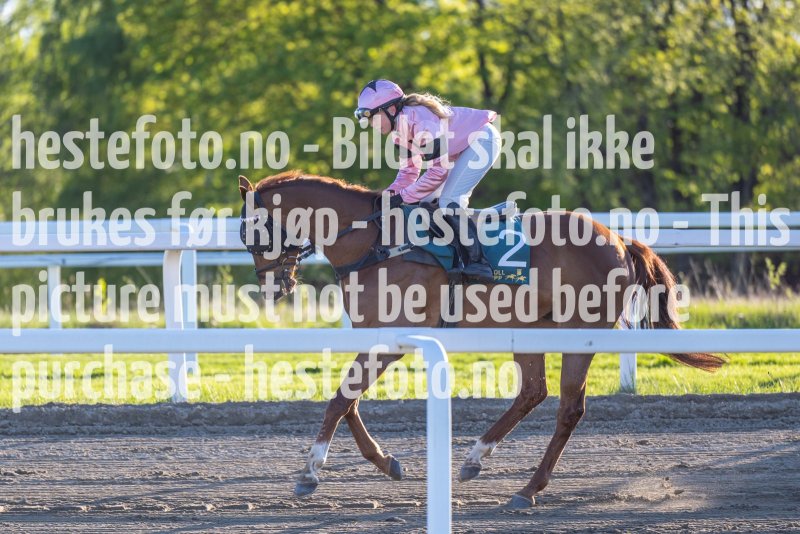 20220512-192913-DSC5079