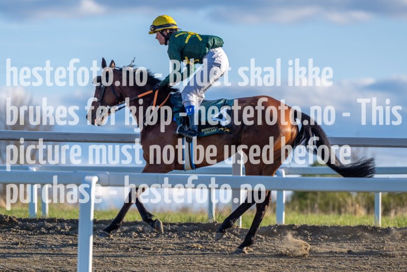20220512-192918-DSC5095