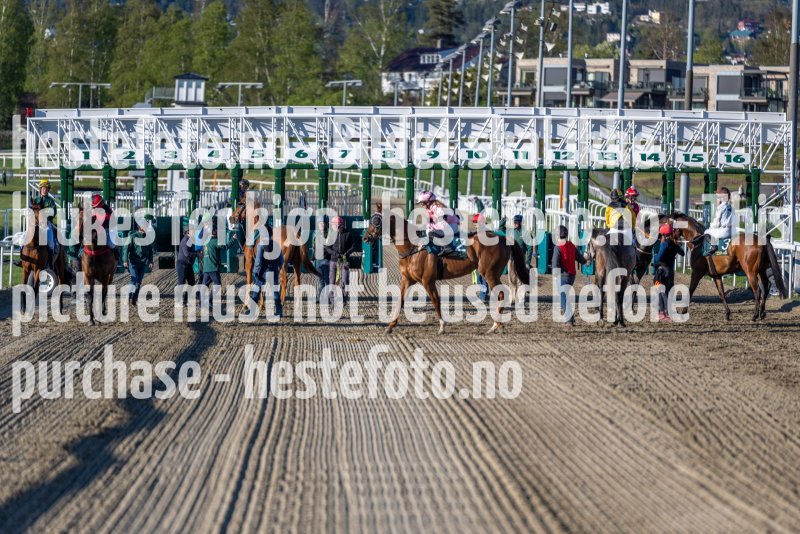 20220512-193202-DSC5104