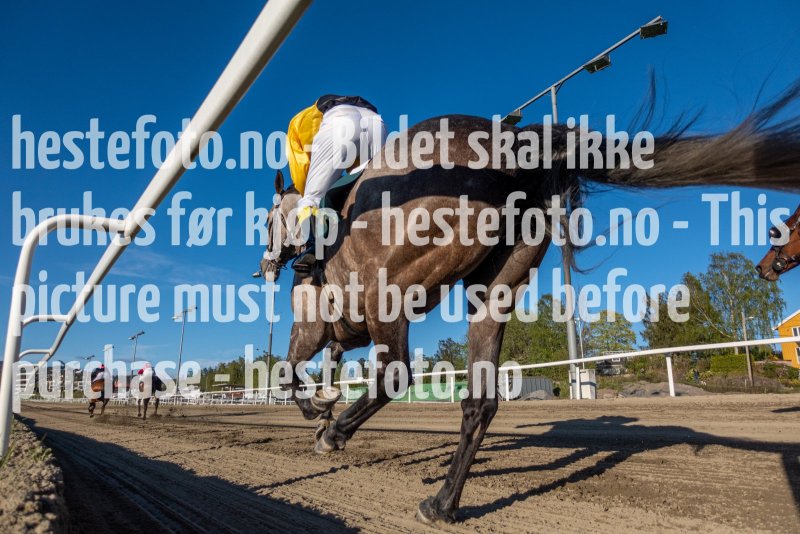 20220512-193407-DSC04259