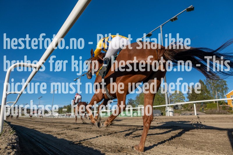 20220512-193410-DSC04282