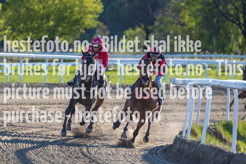 20220512-193441-DSC5129