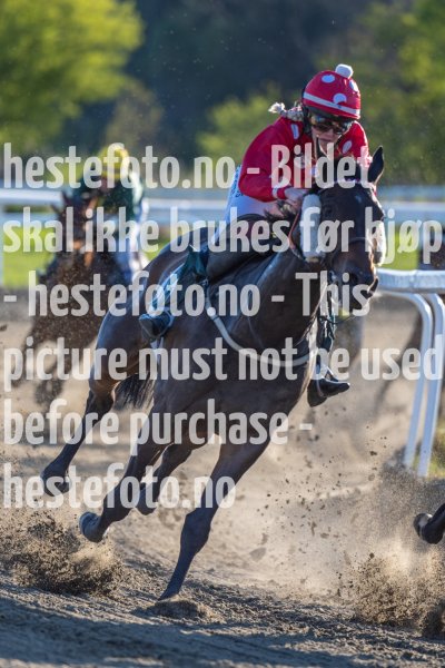 20220512-193442-DSC5139