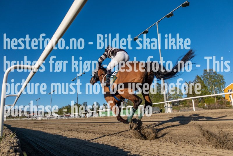 20220512-195655-DSC04295