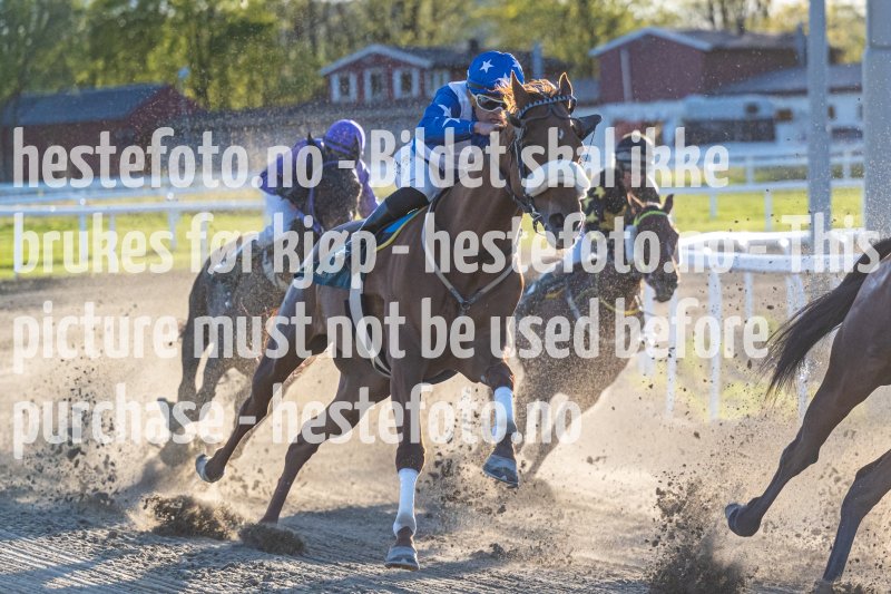 20220512-195731-DSC5186