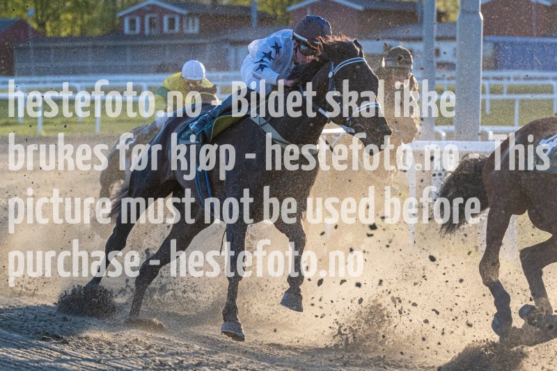 20220512-202226-DSC5213