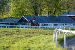 20220512-192856-DSC5046