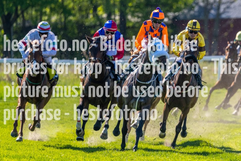20220517-163937-DSC5924