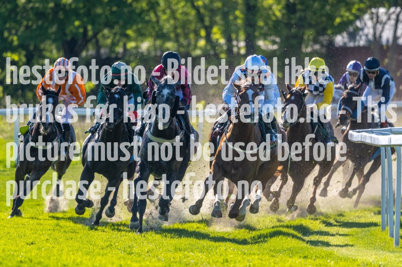 20220517-172752-DSC6003