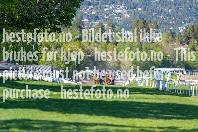 20220517-175254-DSC6033