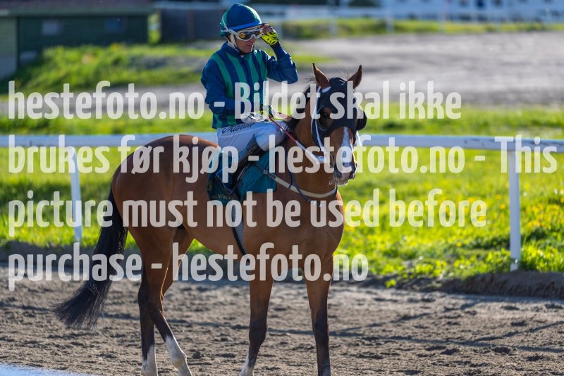 20220526-190632-DSC6473