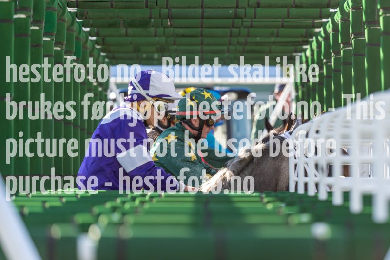 20220526-190726-DSC6532