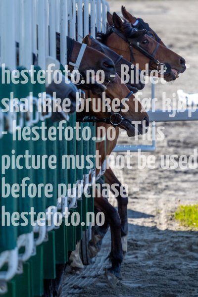 20220526-190730-DSC6538