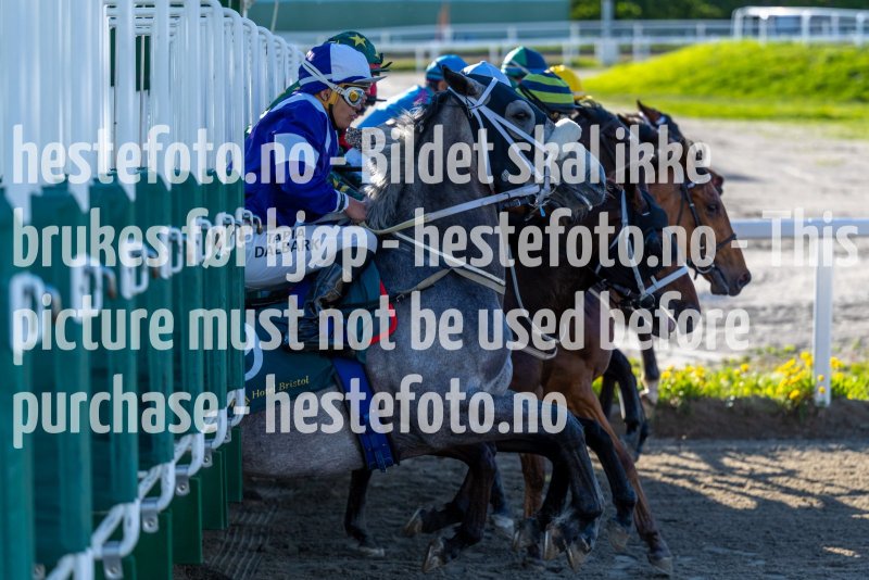 20220526-190731-DSC6541