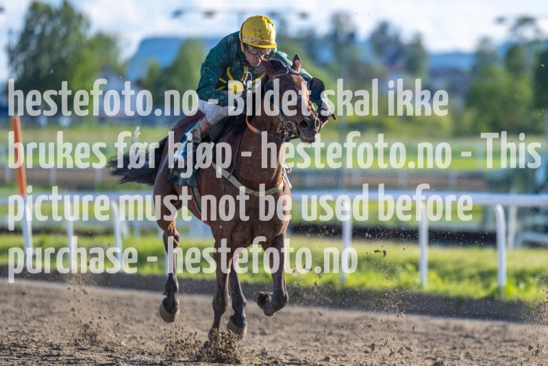 20220526-190901-DSC6598