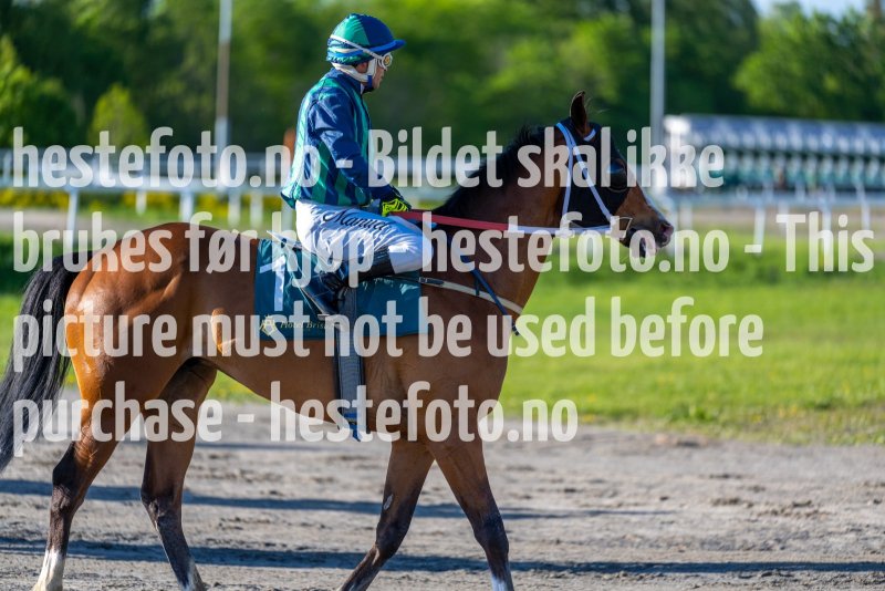 20220526-191115-DSC6671