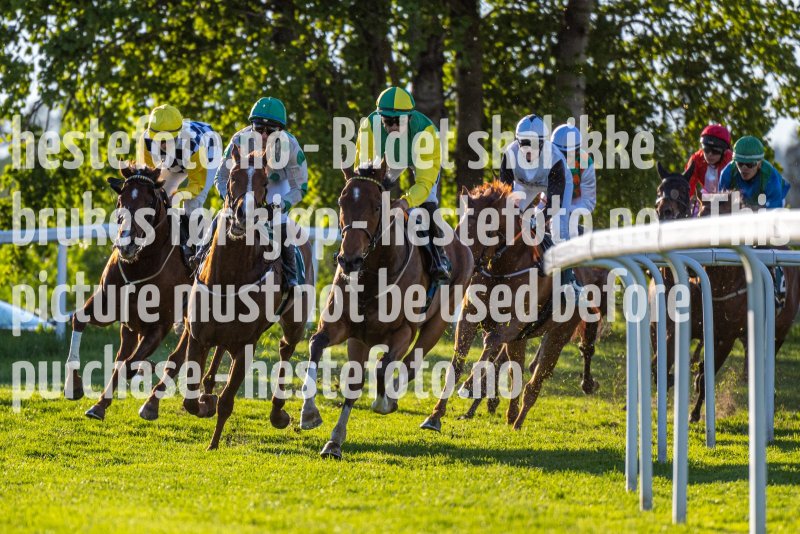 20220526-193221-DSC6684