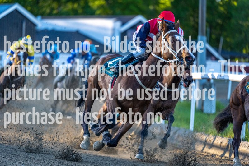 20220526-202801-DSC6774