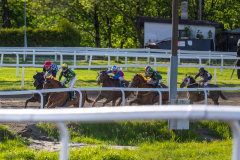 20220526-181841-DSC6146