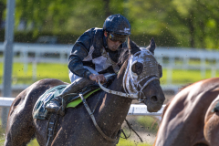 20220526-181846-DSC6171