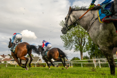 20220602-182011-DSC06655