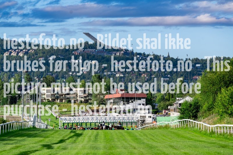 20220728-202144-DSC3740
