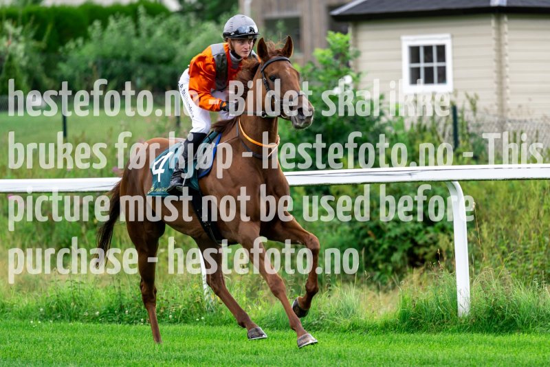 20220803-121625-DSC4415