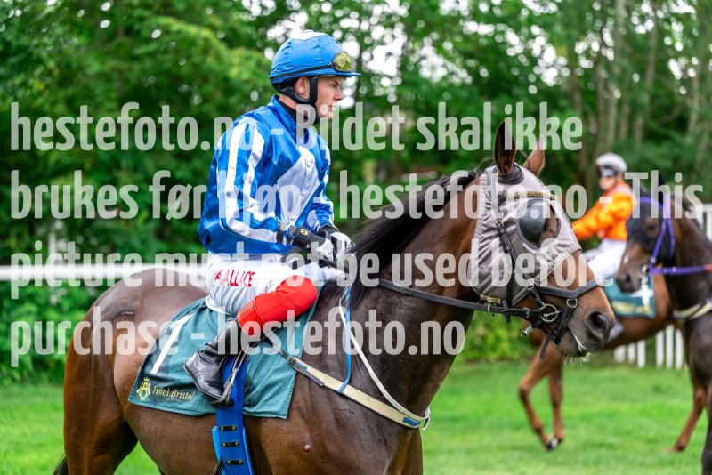 20220803-121902-DSC4460