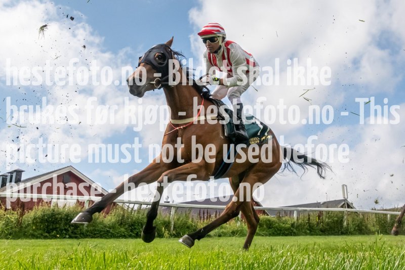 20220803-133935-DSC06742