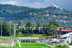 20220803-124630-DSC4585