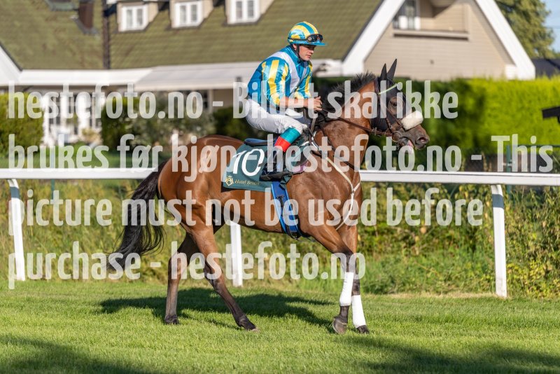 20220811-181119-DSC5744