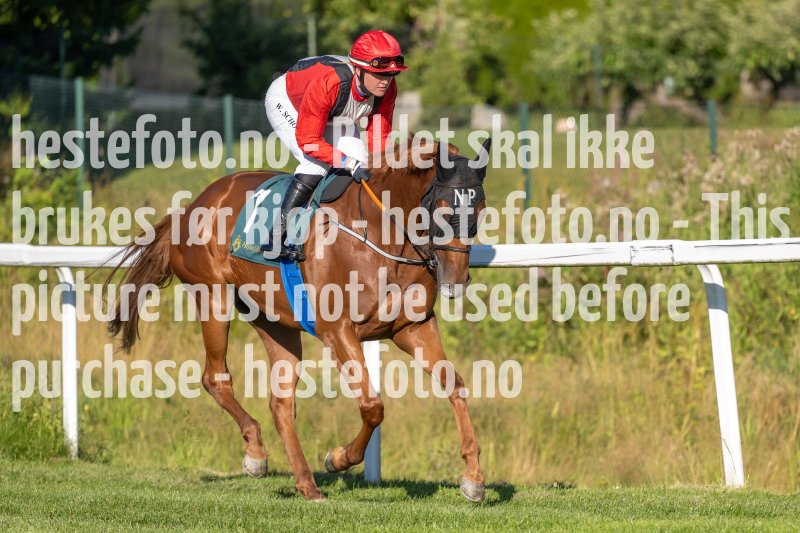 20220811-181213-DSC5768