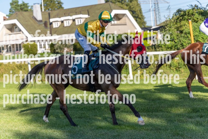20220811-181217-DSC5784