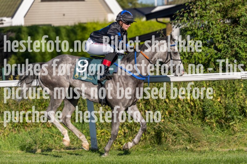 20220811-181219-DSC5790