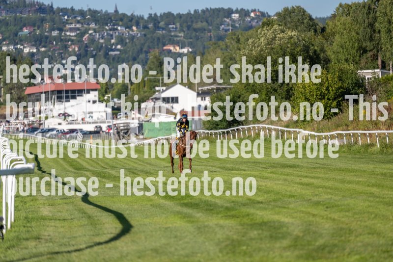 20220811-181233-DSC5801