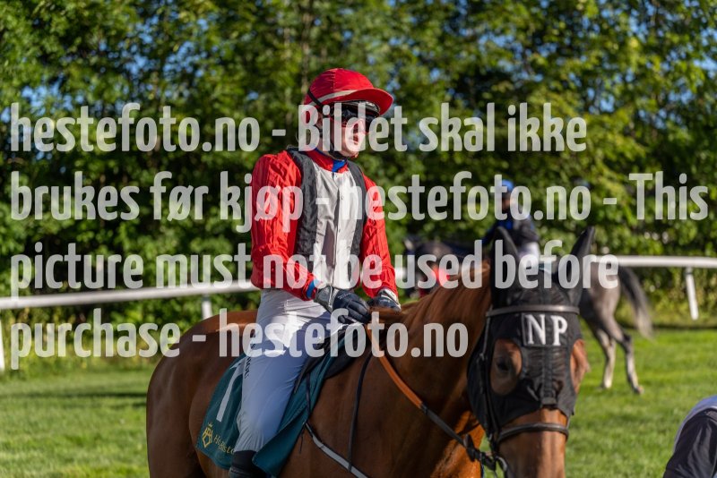 20220811-181433-DSC5859