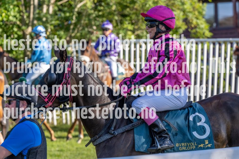 20220811-181653-DSC5906