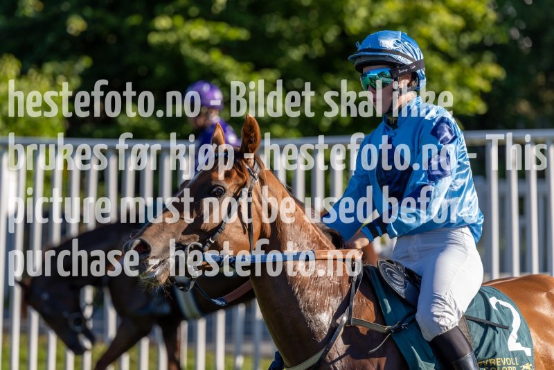 20220811-181715-DSC5921
