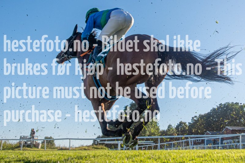 20220811-184247-DSD06809