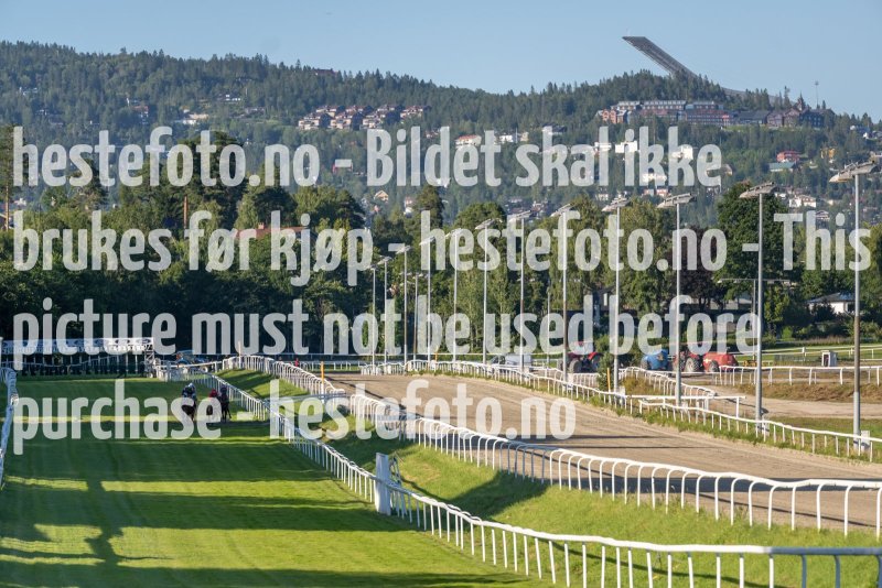 20220811-190529-DSC6006