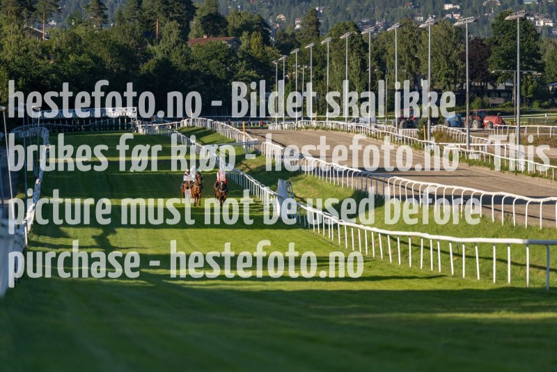 20220811-190534-DSC6009