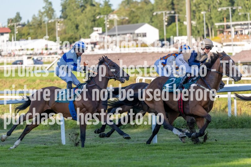 20220811-190543-DSC6027