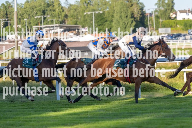 20220811-190543-DSC6029